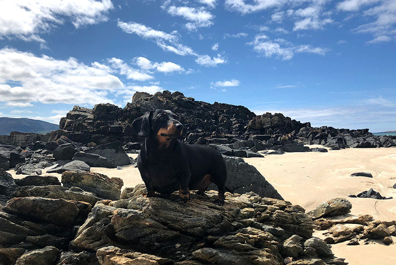 Sustainable, Eco friendly, Ethical brands