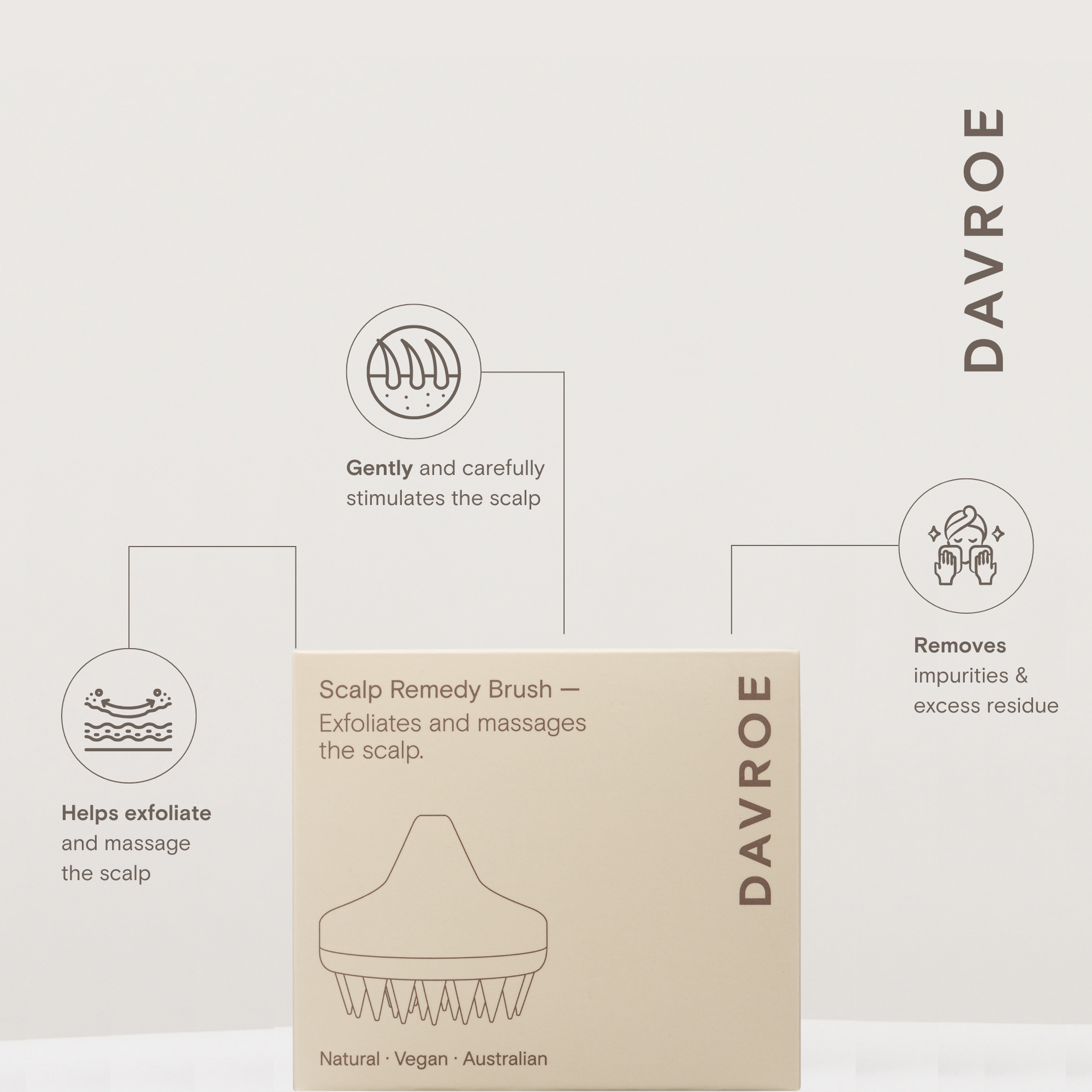 Davroe | Scalp Brush